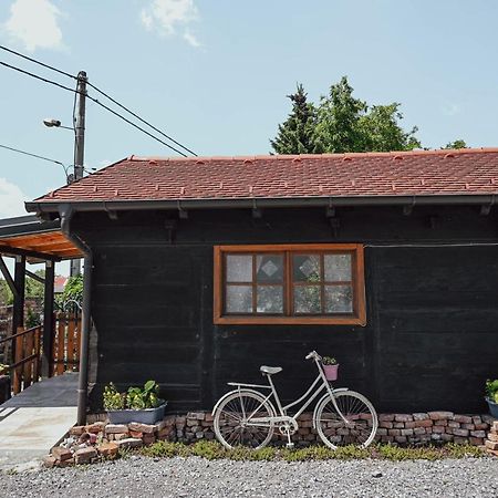 Studio Apartment Romeo Velika Gorica Exterior foto